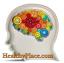 Hienovaraiset aivopiirin poikkeavuudet vahvistettu ADHD: ssä