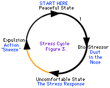 Joitakin stressisyklejä on helpompi siirtää läpi kuin toisia.