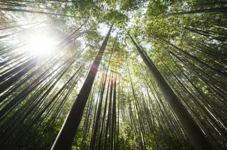 Toisinaan masennus on signaali tarkastella syvällisemmin tunteitamme ja olosuhteitamme elämässämme. Masennuksen näkökohta voi olla positiivinen.