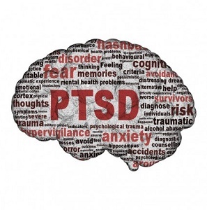 Trauma vaikuttaa aivoihin eri tavoin ihmisillä, joilla kehittyy PTSD. Mutta älä huoli, toipuminen tapahtuu. Opi, miten PTSD-potilaiden aivot toimivat traumaattisten olosuhteiden vuoksi. 