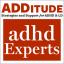 Kuuntele ”Kuinka tukea (ei mahdollista) ADHD-lasten käyttöä koulussa” Elaine Taylor-Klausin, PCC, CPCC, ja Diane Dempster, M.A.