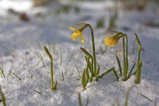 Masennuksen vuoksi on hienoa, että kevät on täällä. Raikas ilma ja auringonpaiste voivat lievittää masennusta, vaikka vain vähän aikaa. Oppia